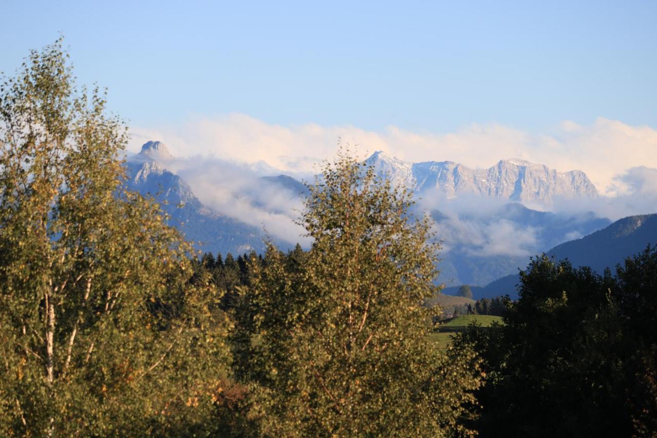 Ferienwohnung Mit Eigenem Garten Und Bergblick Oy-Mittelberg Εξωτερικό φωτογραφία